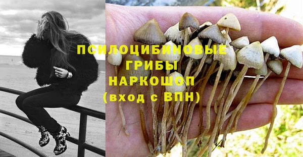 не бодяженный Абдулино