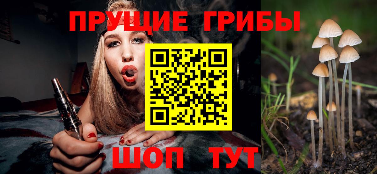 Мурино  Псилоцибиновые грибы прущие грибы  Галлюциногенные грибы GOLDEN TEACHER  Вход с VPN 
