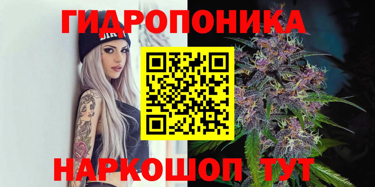 Бошки марихуана THC 21% Мурино